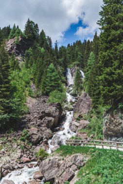 köknar ağaçları ile orman dağlarında şelale görünümü