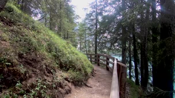 Hombre Caminando Por Sendero Parque Nacional Con Mochila Espalda Actividades — Vídeos de Stock