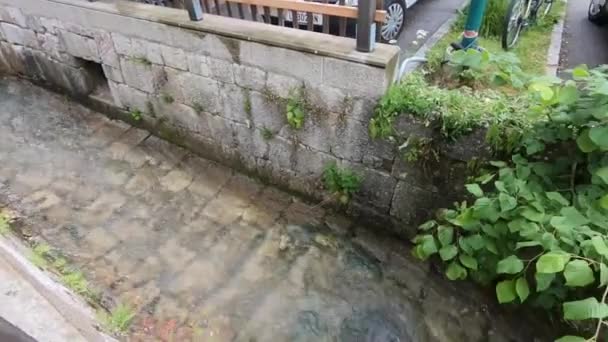 Uitzicht Rivier Beek Hallstatt Stad Die Zomer Van Het Meer — Stockvideo