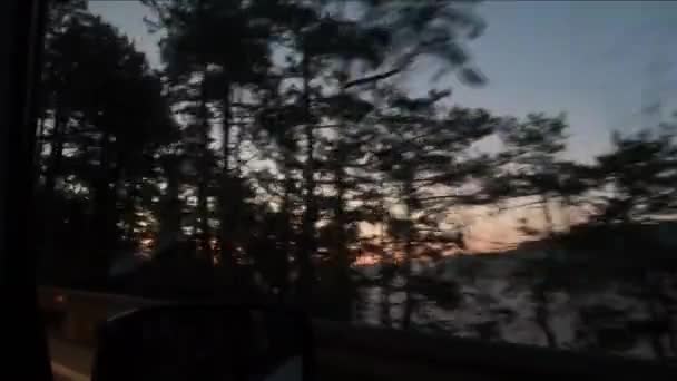 Вид Вікна Автомобіля Біжить Деревами Схід Сонця Через Гілки Дороги — стокове відео