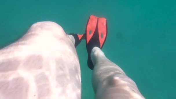 Männerbeine Schwimmflossen Unter Wasser Sommerurlaub — Stockvideo