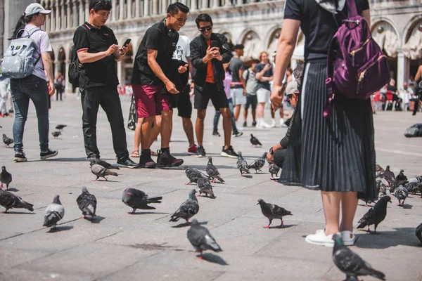 İtalya, Venedik - 25 Mayıs 2019: Aziz markmeydanında güvercinlerle turist kadın — Stok fotoğraf