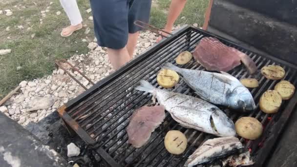 烹饪鱼在营地火烧烤的地方夏季时间 — 图库视频影像