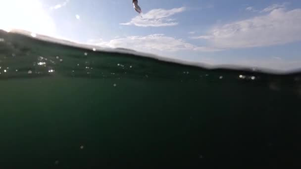 Člověk Skáče Vodě Napůl Podvodní Polovině Nad Vodou Letní Volnočasové — Stock video
