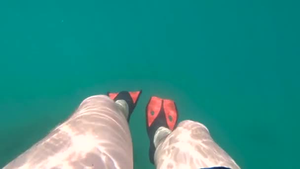 Man Benen Flippers Onderwater Zomer Vakantie — Stockvideo