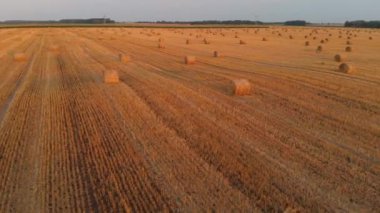 alanında saman stok havadan görünümü. sonbahar hasat konsepti