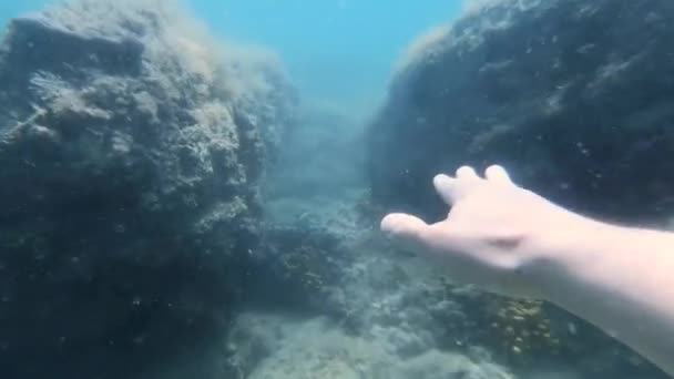 Persoon Zwemmen Onderwater Kijken Naar Zeewieren Rotsen Bodem — Stockvideo