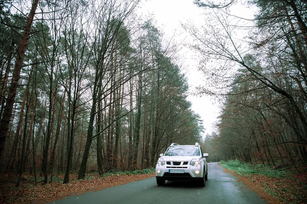 Coche Suv Blanco Camino Del Campo Bosque Otoño Niebla Tiempo — Foto de Stock