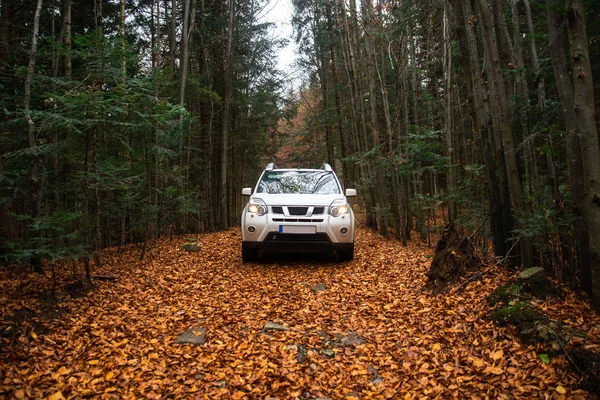 Carro suv branco na estrada trilha na floresta de outono — Fotografia de Stock