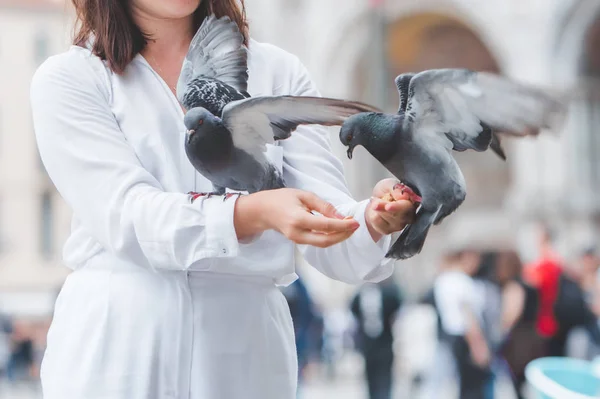 Femme en vêtements blancs avec chapeau de paille s'amuser avec des pigeons à venise place de la ville — Photo
