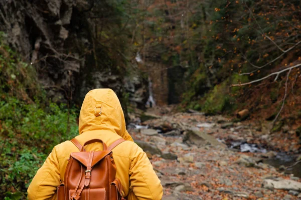 Donna che cammina lungo il sentiero nella foresta autunno tempo escursioni — Foto Stock