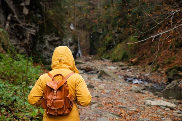 Donna che cammina lungo il sentiero nella foresta autunno tempo escursioni — Foto Stock