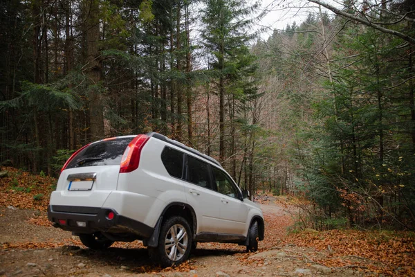 Coche suv blanco en el bosque de otoño barbacoa lugar — Foto de Stock