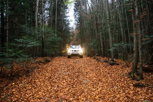 Coche suv blanco en camino camino en el bosque de otoño — Foto de Stock