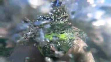 maskeli adam sualtı şnorkel yaz tatili yüzme