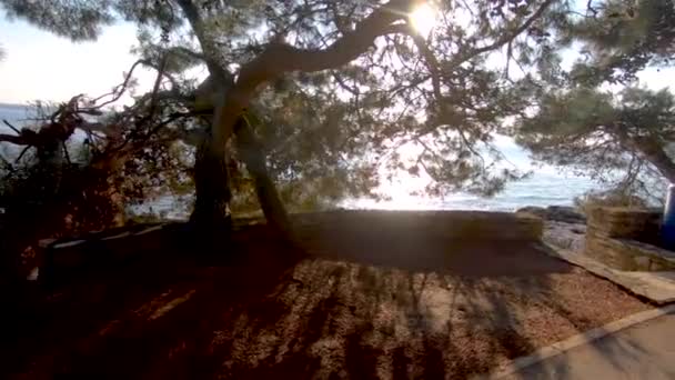 Pelo Parque Perto Vista Mar Das Férias Verão Por Sol — Vídeo de Stock