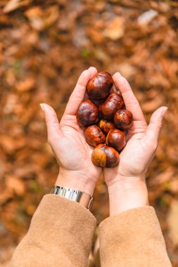kadın elinde kestane tepegöz