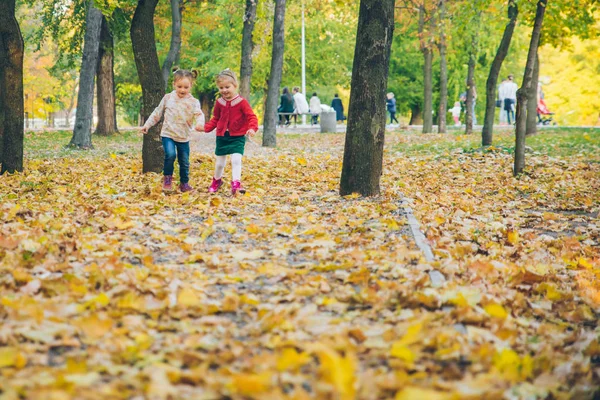 두 어린 여자 여자 친구 재생 에 가을 도시 공원 들고 손 — 스톡 사진