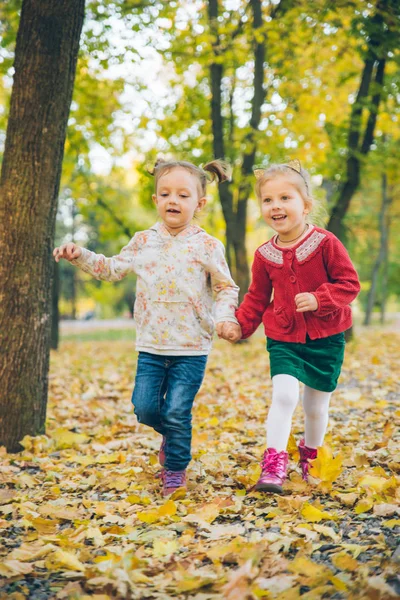 Dos niñas novias jugando en el parque de otoño de la ciudad de la mano — Foto de Stock