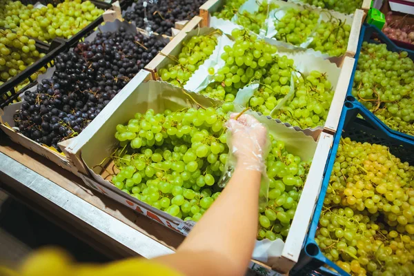 Ponto de vista em primeira pessoa homem escolhendo uvas — Fotografia de Stock