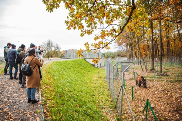 Lwów, Ukraina-21 października 2018: ludzie chodzą przez centrum rehabilitacji niedźwiedzia — Zdjęcie stockowe