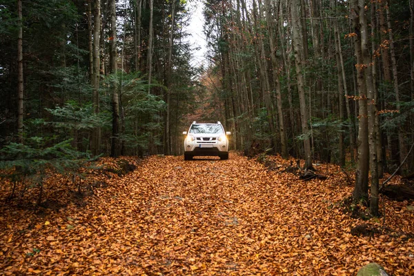 Coche suv blanco en camino camino en el bosque de otoño — Foto de Stock