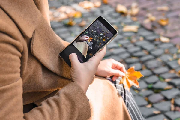 Woman taking picture of yellow maple leaf — Stock Photo, Image