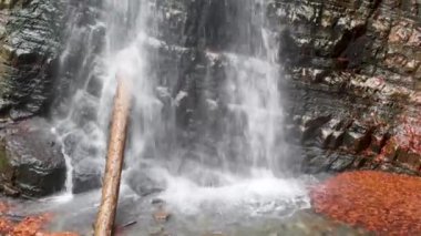 su sonbahar sonbahar mevsimdağlar dere havadan görünümü