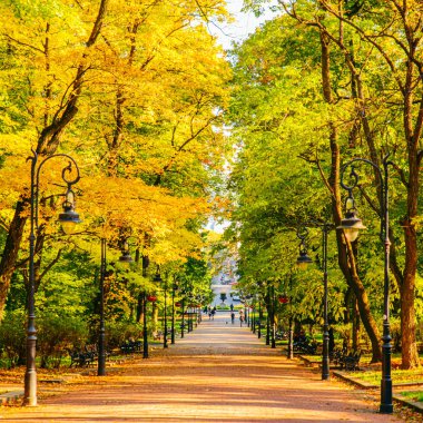 sonbahar sarı ve yeşil ağaçlar ile şehir parkı görünümü geliyor