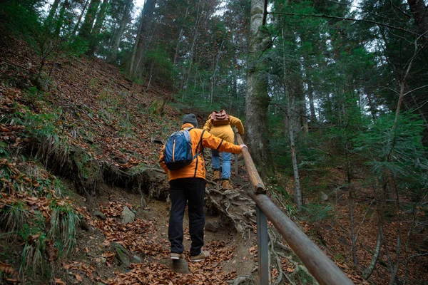 Casal amigos caminhadas por montanhas da floresta — Fotografia de Stock