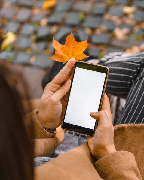 woman holding phone with white screen outdoors yellow maple leaf