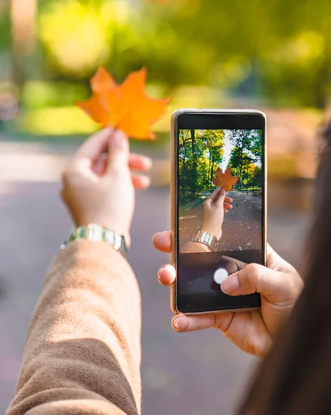 Woman taking picture of yellow maple leaf — Stock Photo, Image