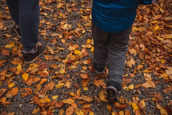 Pattes d'enfant avec adulte marchant sur un chemin de gravier plein de feuilles jaunes d'automne — Photo