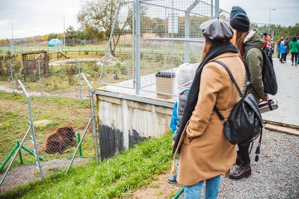 people walking by bear rehabilitation center