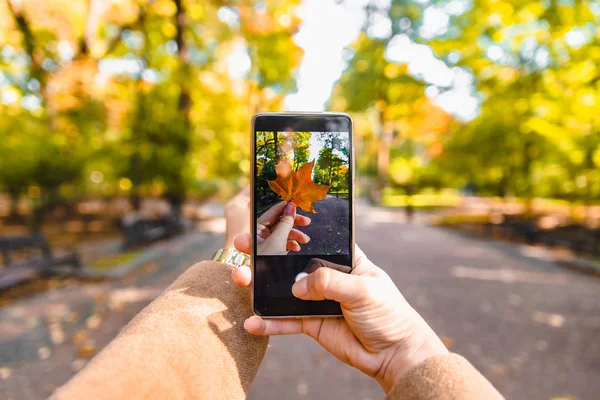 Frau fotografiert gelbes Ahornblatt — Stockfoto