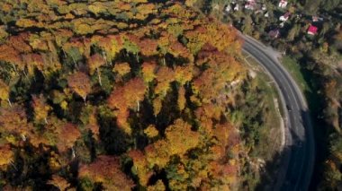 sonbahar orman araba seyahat konseptinde karayolu nun havai görünümü