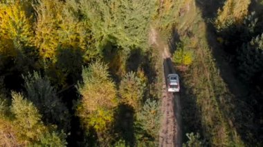 orman izi aktif yaşam tarzı beyaz suv araba havai görünümü