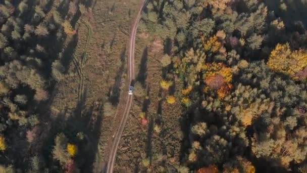 森林トレイルアクティブなライフスタイルで白いSuv車のオーバーヘッドビュー — ストック動画