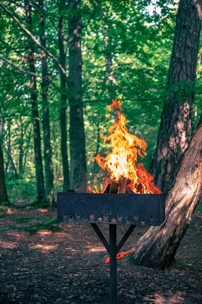 Vista de fuego para barbacoa —  Fotos de Stock