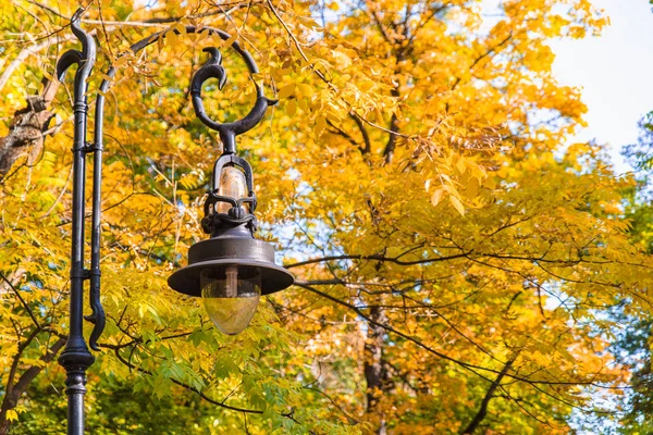 Hösten kommer syn på stadsparken med gula och gröna träd — Stockfoto