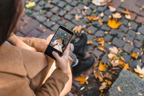 Woman taking picture of yellow maple leaf — Stock Photo, Image