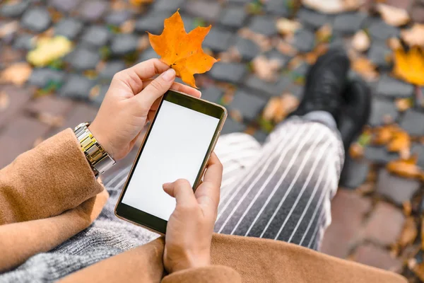 Woman holding phone with white screen outdoors yellow maple leaf — Stock Photo, Image