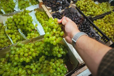 ilk kişi bakış açısı adam üzüm seçimi