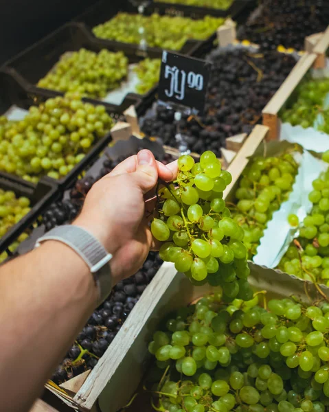 От первого лица человек выбирает виноград — стоковое фото