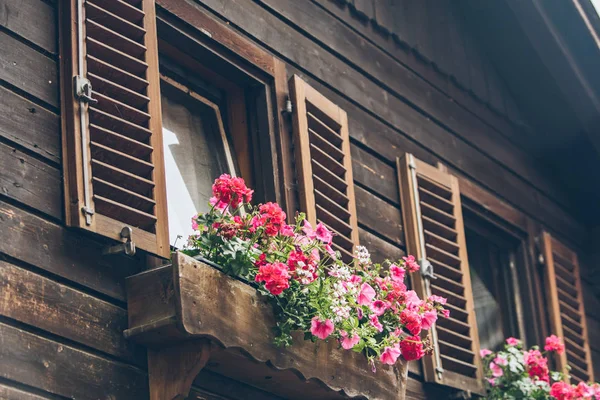 Rosafarbene Blumendekoration an Holzfenstern mit Rollläden — Stockfoto