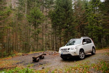 sonbahar orman barbekü yerde beyaz suv araba