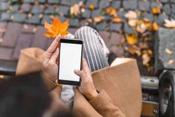 Beyaz ekran açık havada sarı akçaağaç yaprağı ile telefon tutan kadın — Stok fotoğraf