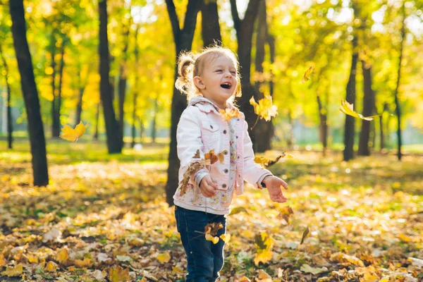행복한 작은 유아 소녀는 가을 공공 도시 공원에서 단풍 나무 잎을 던져 — 스톡 사진