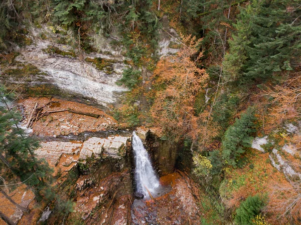 Uitzicht op waterval in herfstbos — Stockfoto