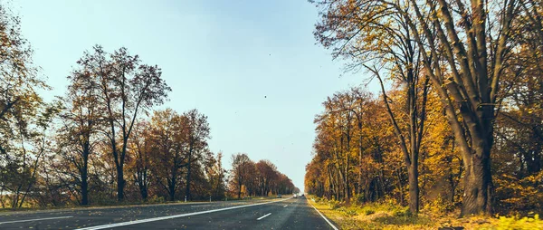 Осінній автомобіль подорожі концепт дерева з жовтим листям — стокове фото